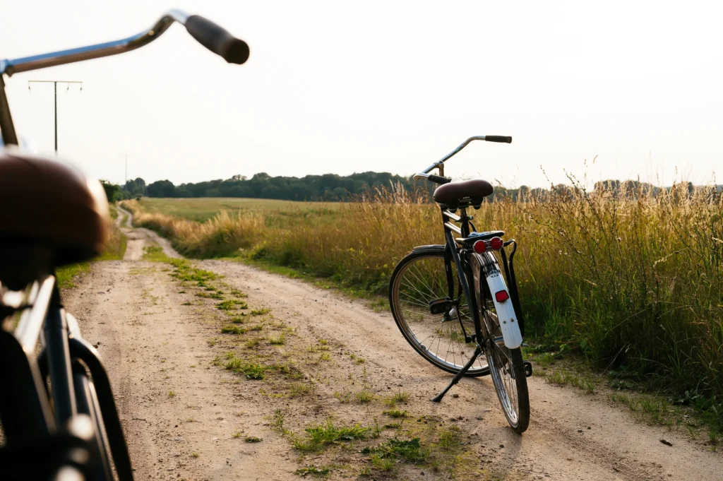 Ein Fahrrad steht auf einem Schotterweg umgeben von hohen grünen Gräsern. Die Landschaft erstreckt sich über eine weitläufige Wiese im Hintergrund, die sanft in der Abendsonne leuchtet. Die Szene vermittelt ein Gefühl von Ruhe und Natur, passend zum Thema "meine kleine farm" und "wildyard".