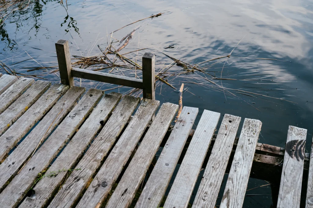 Ein Holzsteg, der an einem ruhigen Gewässer endet, mit einigen Ästen und Pflanzen im Wasser. Der Steg ist aus verwittertem Holz gefertigt und in einer natürlichen Umgebung mit grünen Pflanzen im Hintergrund.