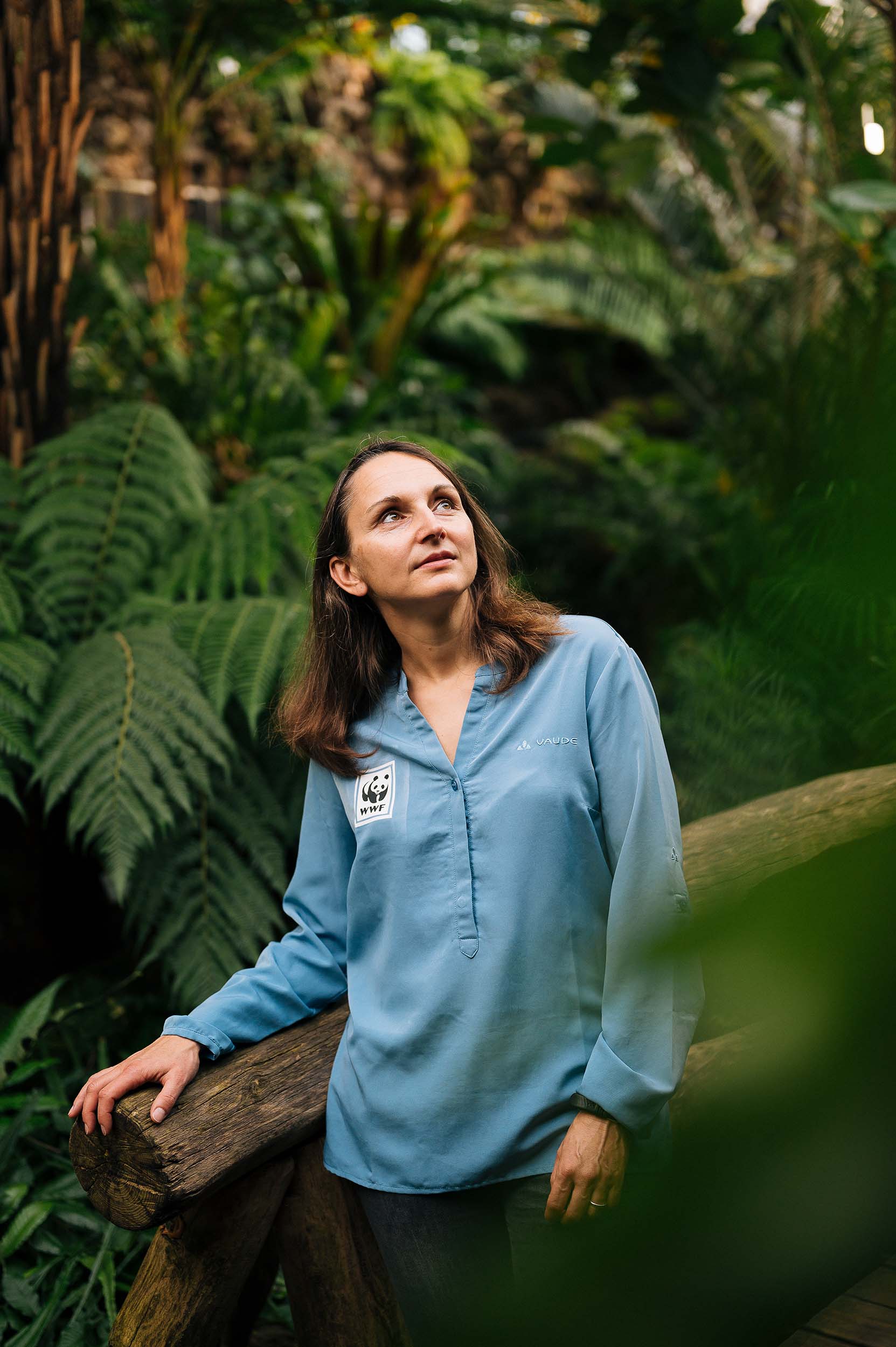 Eine Frau in einem blauen Hemd steht in einem üppigen, grünen Wald mit großen Farnen. Sie schaut nach oben, während sie sich an einem Holzstamm stützt. Im Hintergrund sind dichte Pflanzen sichtbar.