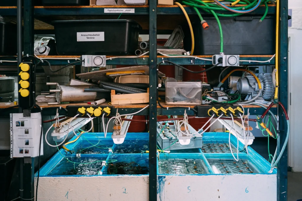 Eine technische Einrichtung mit mehreren Wassertanks unter einer Regalanlage, umgeben von Schläuchen und elektrischen Geräten. Verschiedene Komponenten sind zur Steuerung und zum Betrieb sichtbar.