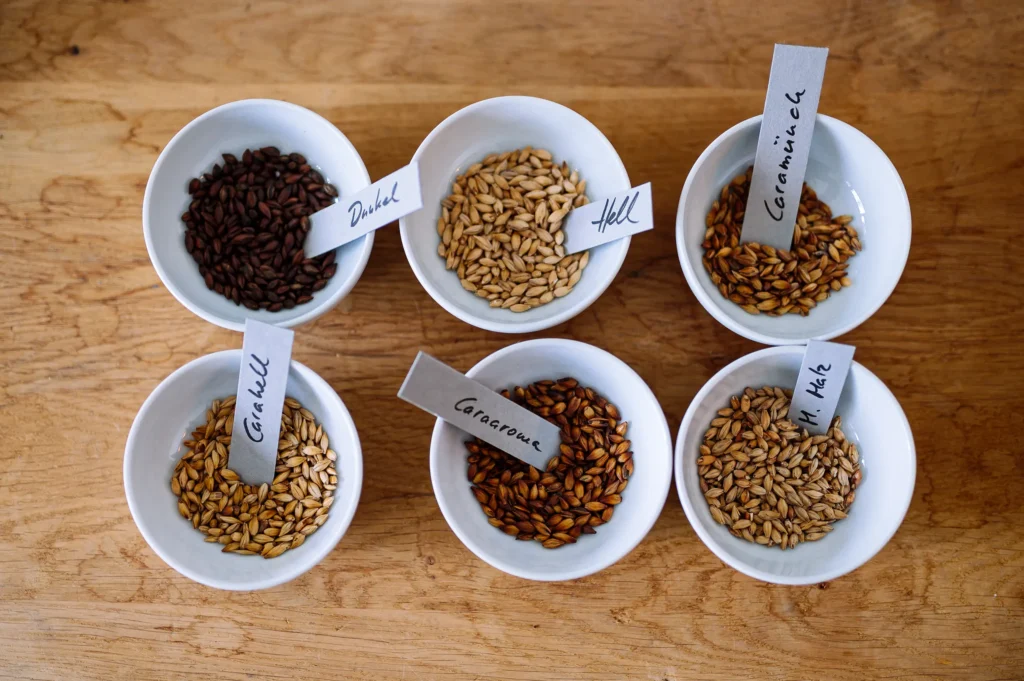 Sechs Schalen mit verschiedenen Malzkörnern auf einem Holztisch, jede mit einem beschrifteten Holzstäbchen. Es sind die Sorten Carahell, Caramunich, Gernot, Hall, Diabel und M. Hit zu sehen, die für die Brennerei Ehringhausen geeignet sind.