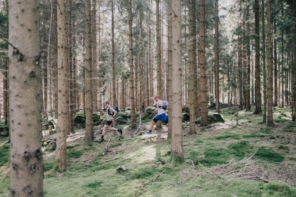 Zwei Wanderer in kurzen Hosen durch einen Wald mit hohen Bäumen, umgeben von grünem Moos. Die Sonne scheint durch die Baumkronen und beleuchtet den Weg.
